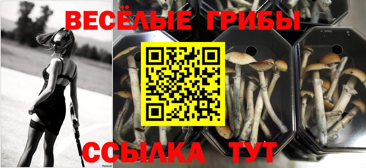 Коломна  Галлюциногенные грибы мухоморы  Вход с VPN 