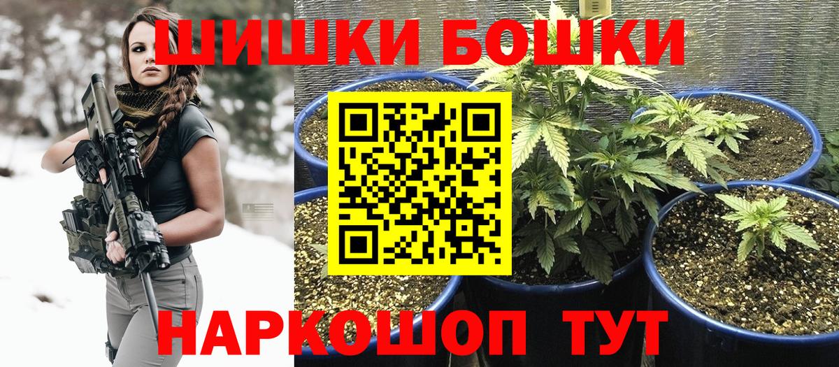 Каннабис OG Kush Коломна